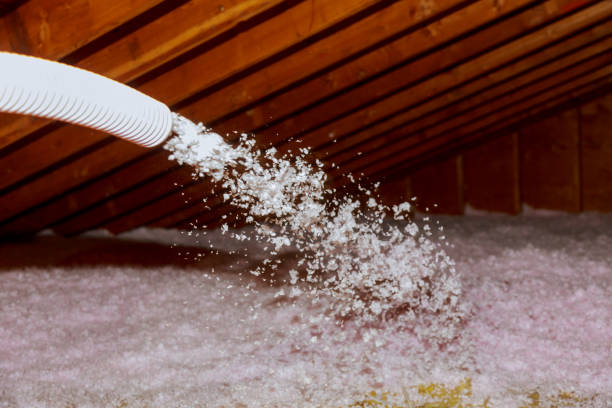 Best Spray Foam Insulation in Walker, LA