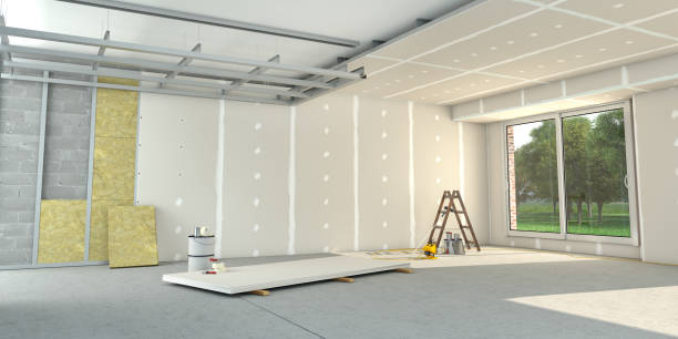Best Cellulose Insulation in Walker, LA