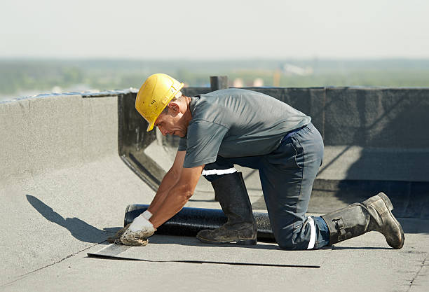 Best Specialized Insulation Services in Walker, LA