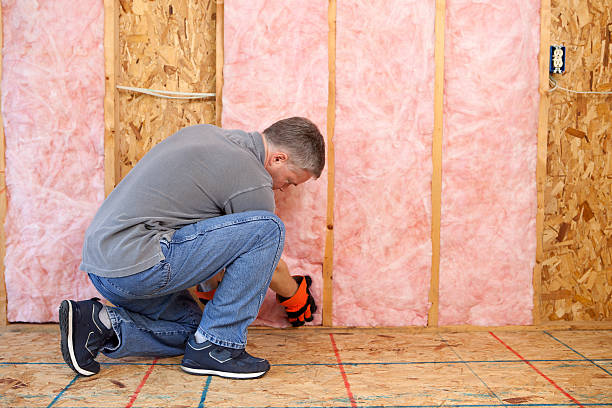 Best Blown-in Insulation in Walker, LA