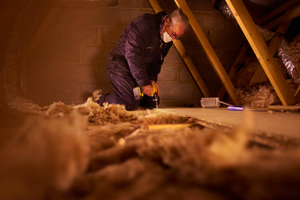 Best DIY Insulation Kits and Guidance in Walker, LA