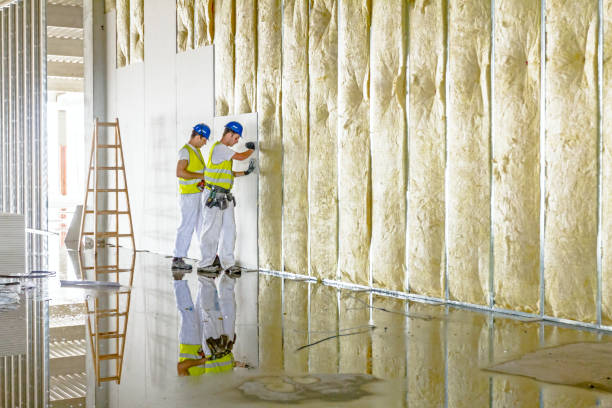 Best Insulation for Specific Applications in Walker, LA